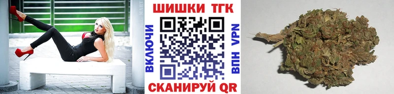 Шишки марихуана THC 21%  Лермонтов 